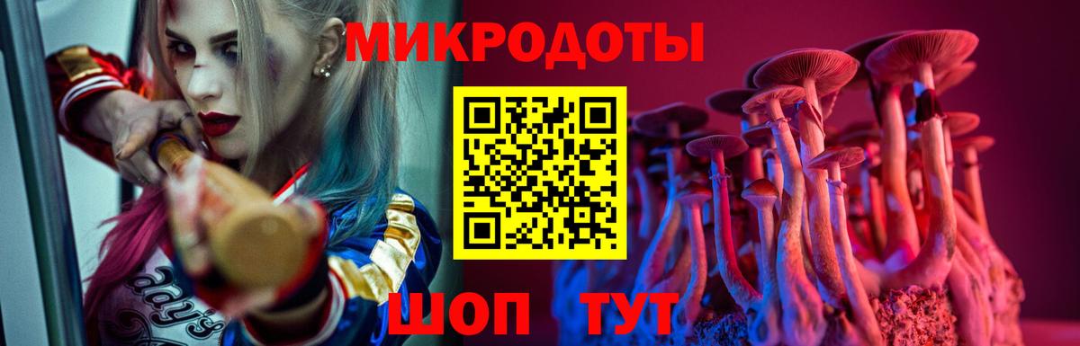 Псилоцибиновые грибы мицелий Ревда
